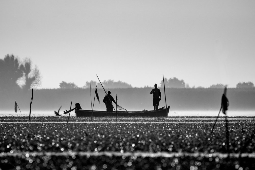 Photograph by Adrian Grigore