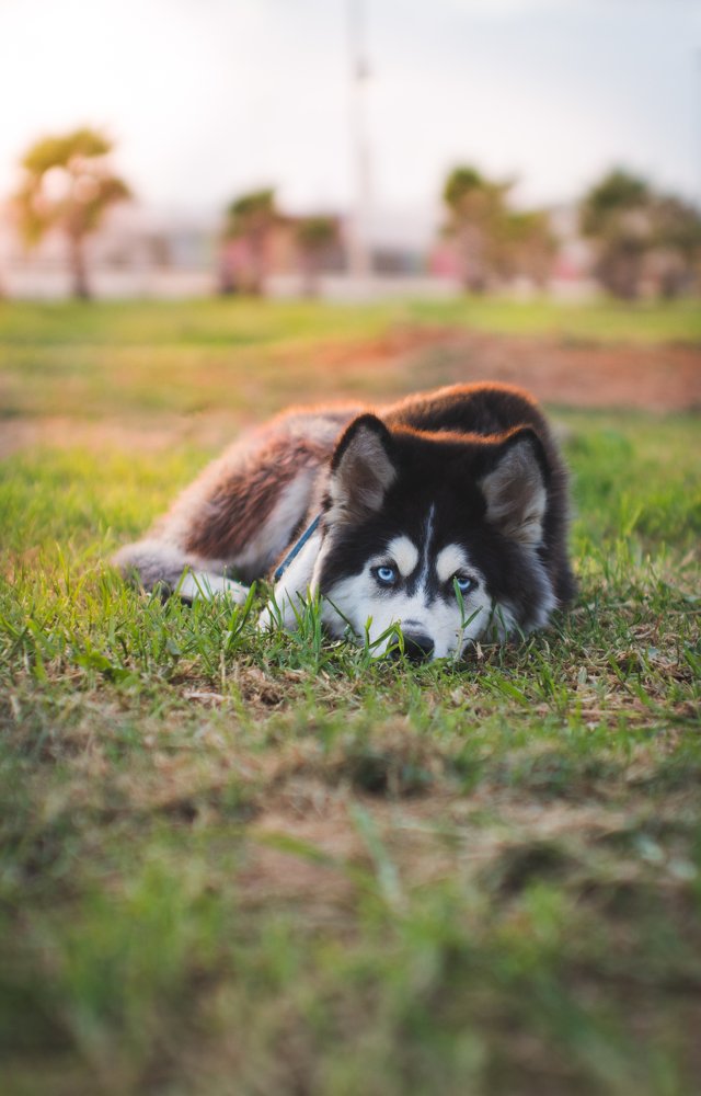 Photograph by Aissa Haffar