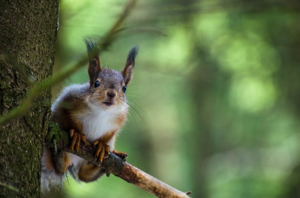 Photograph by Ирина