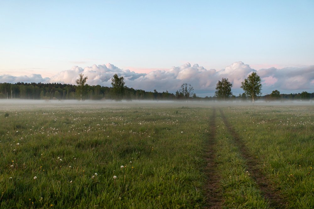 Photograph by Александр Клиновский