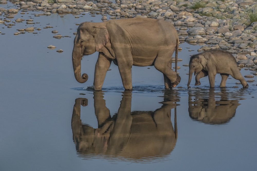 Photograph by Upamanyu Chakraborty