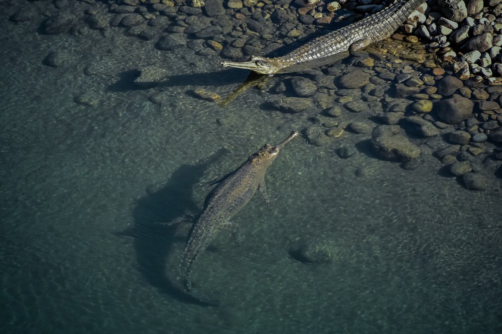 Photograph by Upamanyu Chakraborty