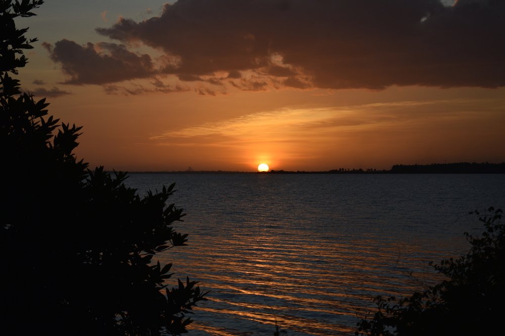 Photograph by Rishanthini Kajenthirappirapa