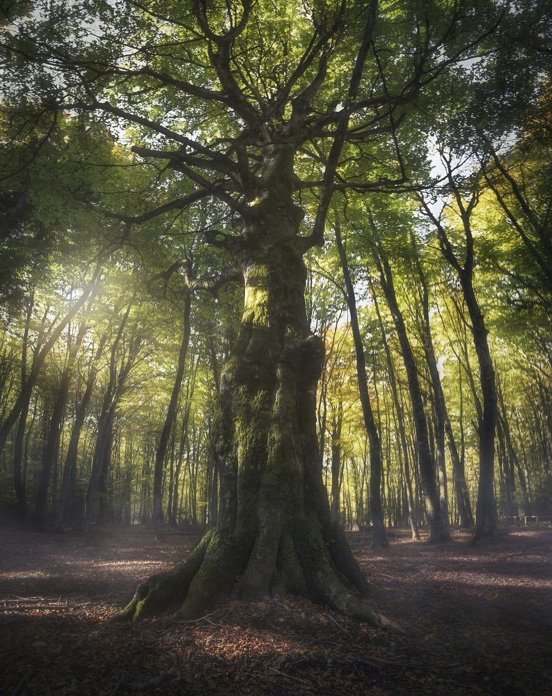 Photograph by Giuseppe Calogero