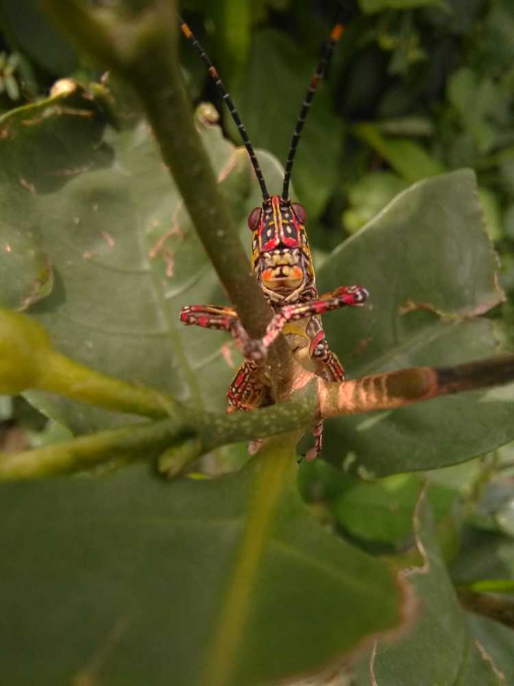 Photograph by Ayodeji Oyerinde
