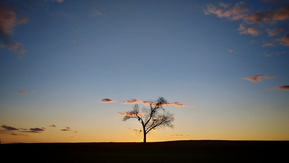 Photograph by Дмитрий Клименко