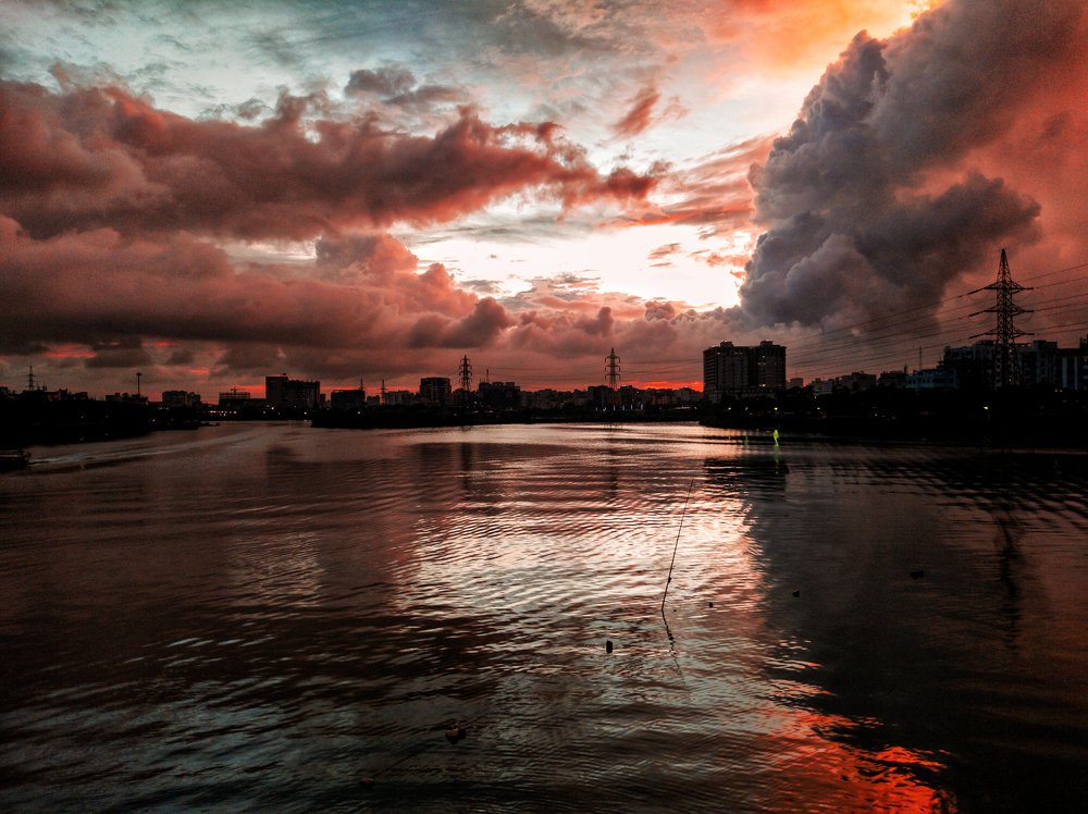 Ornament of the Nature