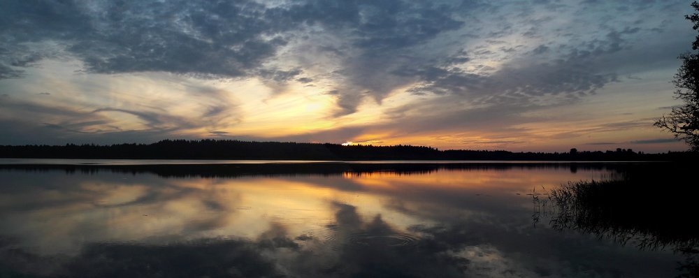 Пандемия цвета.