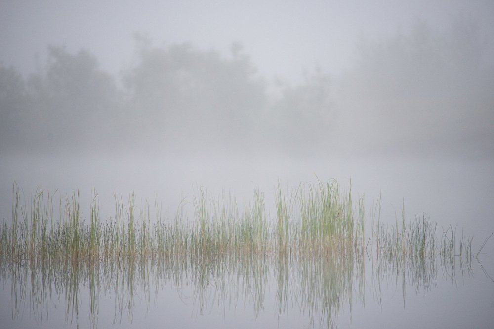 Photograph by Анастасия Токарская