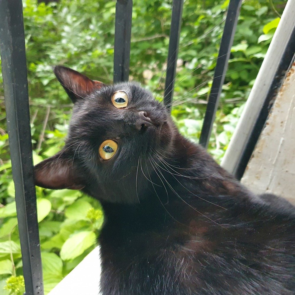 А сфотографируй меня вот так )