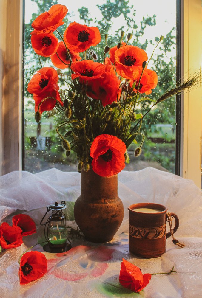 Натюрморт с маками