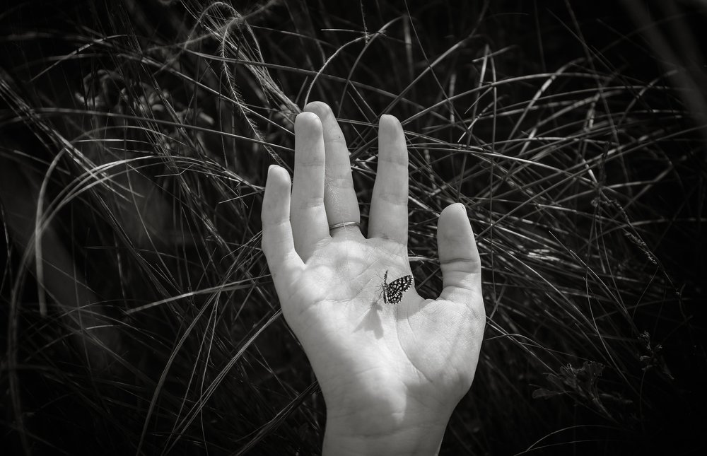 Photograph by Екатерина Шугаева