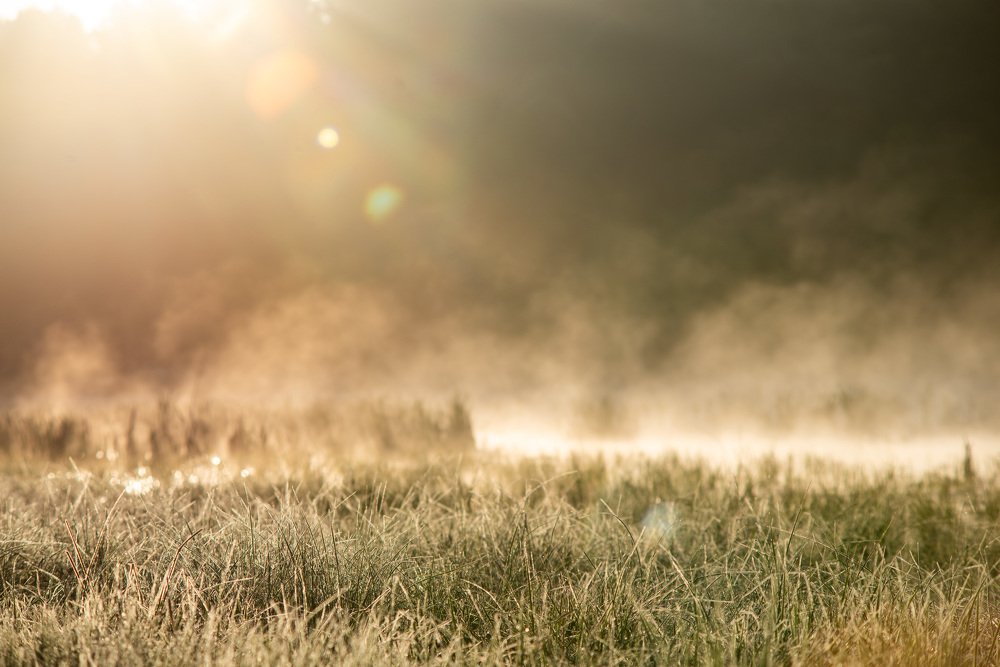 Photograph by Анастасия Токарская