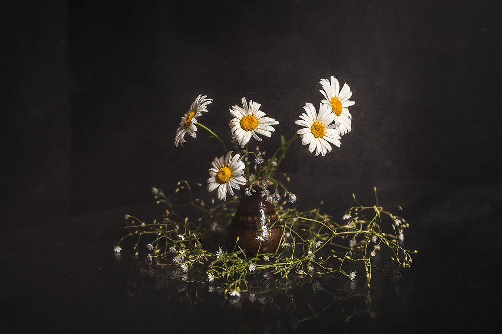 Photograph by Дмитрий Сундеев