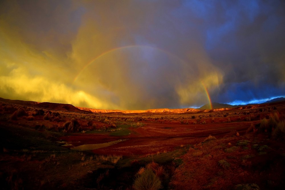 Photograph by Nicolas Genna