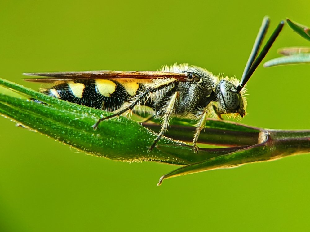 Photograph by Anjazz doz santoz