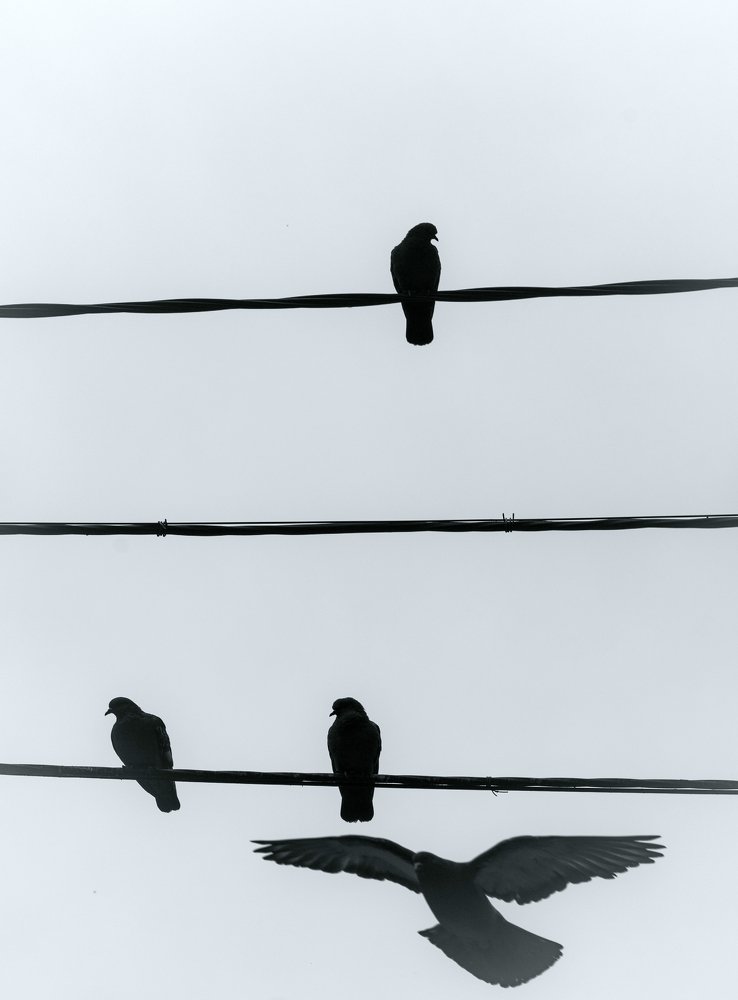 Photograph by Екатерина Шугаева