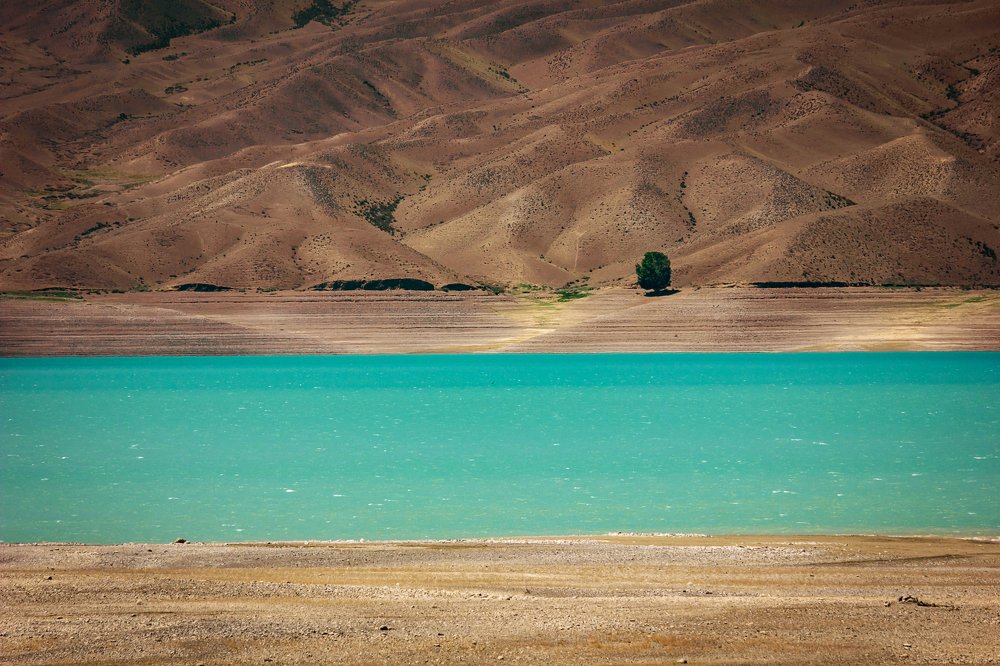 Фотография автора Наталья Яковлева