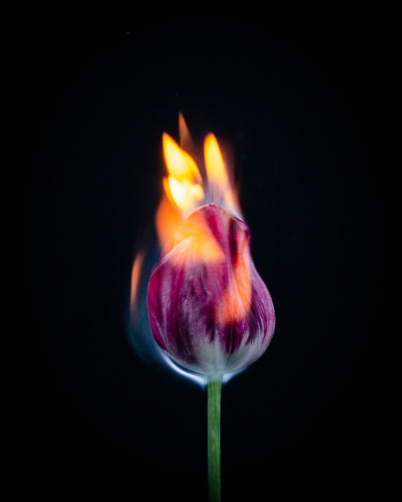 Photograph by Денис Храмеев