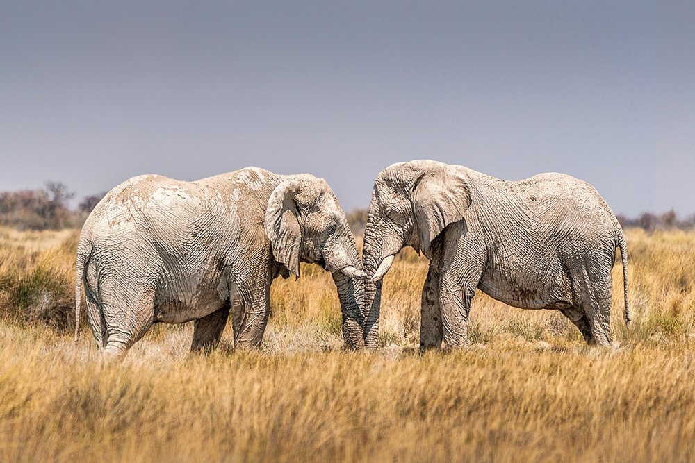 Photograph by Marcel Egger