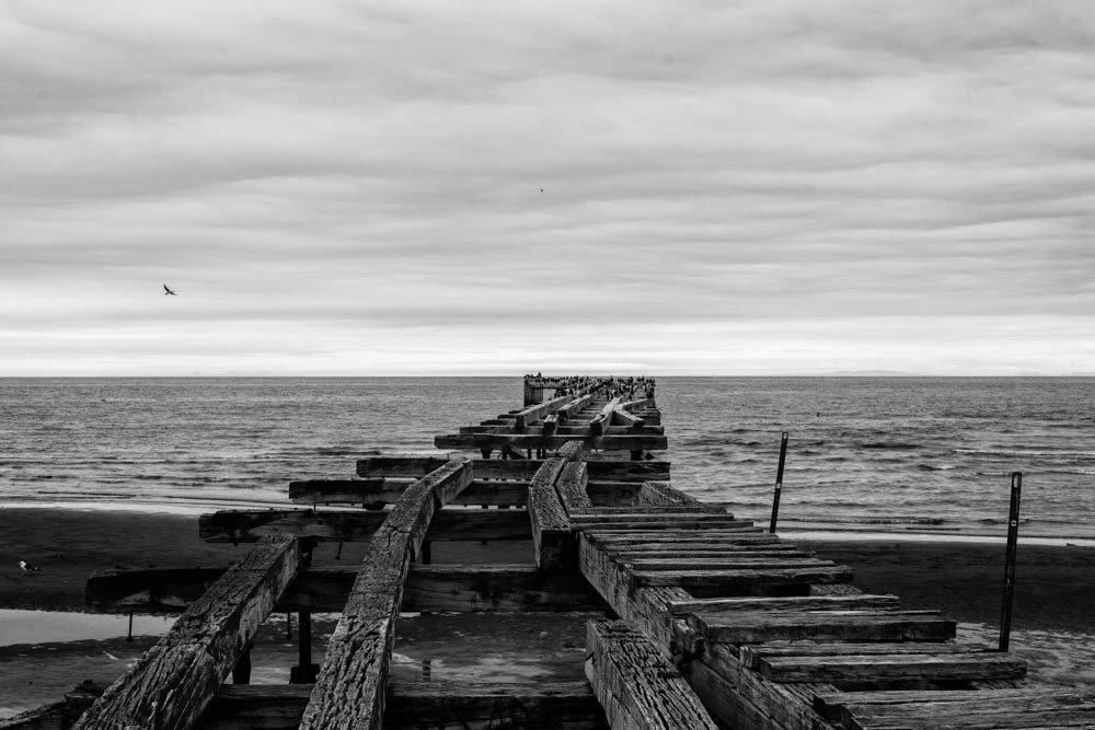 Photograph by Natalia Rebecchi