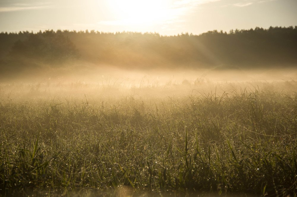 Photograph by Evgeniya Gribova