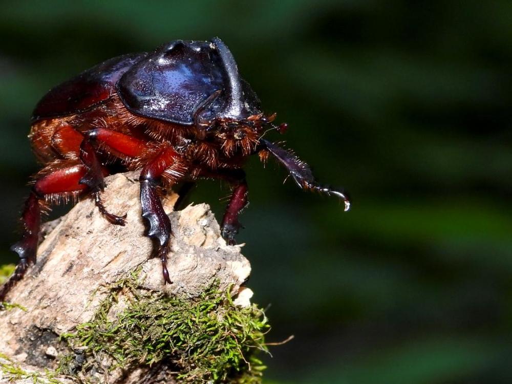 Доброго вечера!