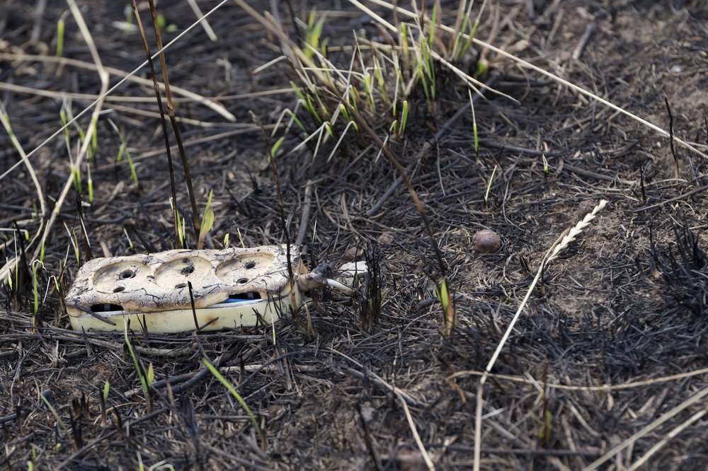 Глобальная опасность в повседневном.