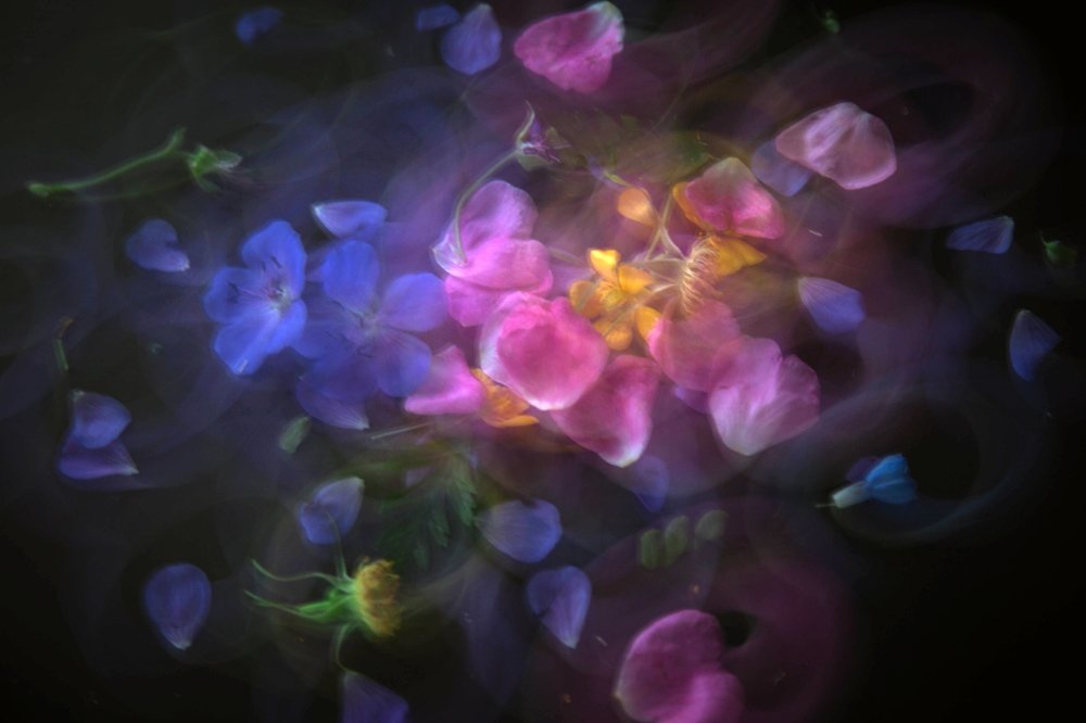 Photograph by Екатерина Шугаева