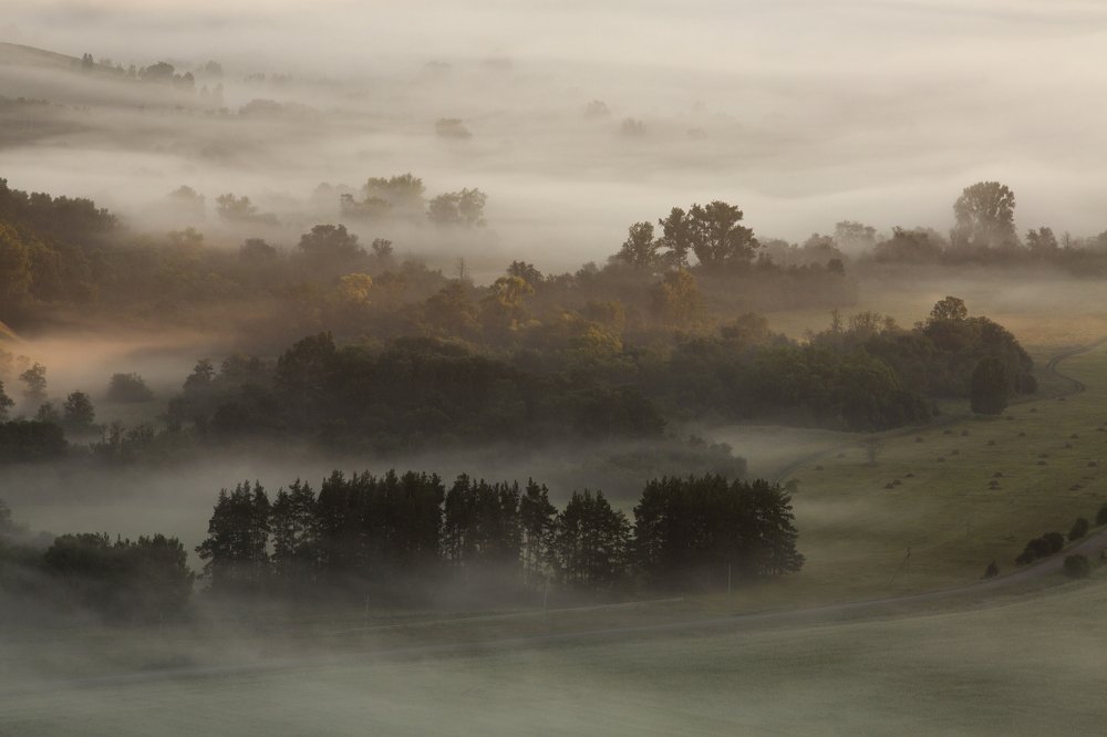 Photograph by Олег Грачёв