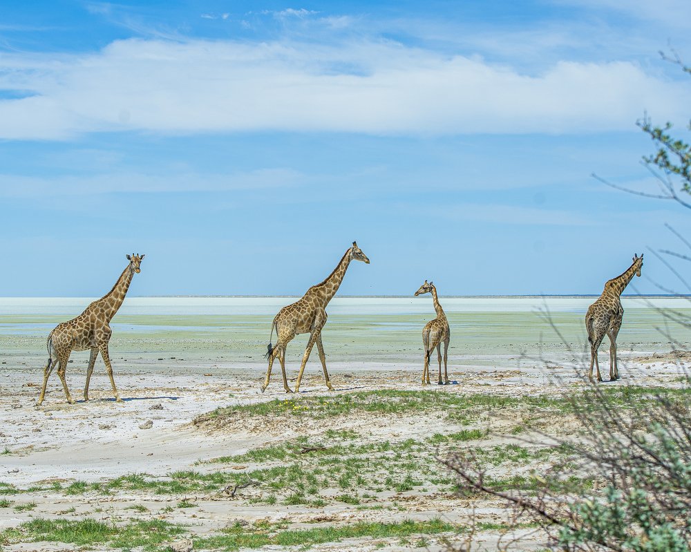 Photograph by talia duclos