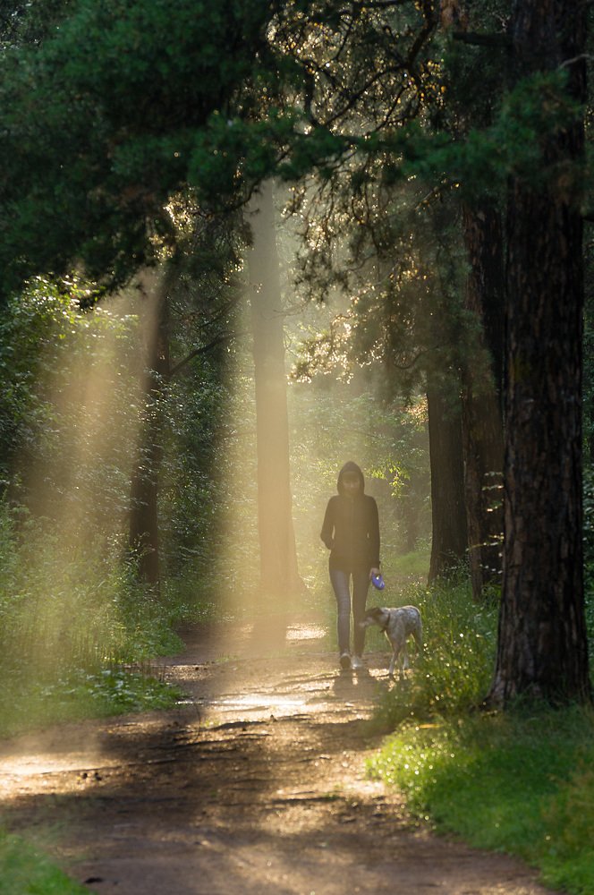 Photograph by Виктор Петров