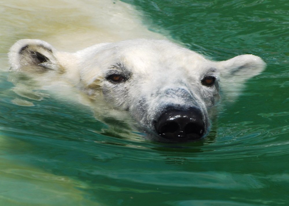 Photograph by Татьяна Зема