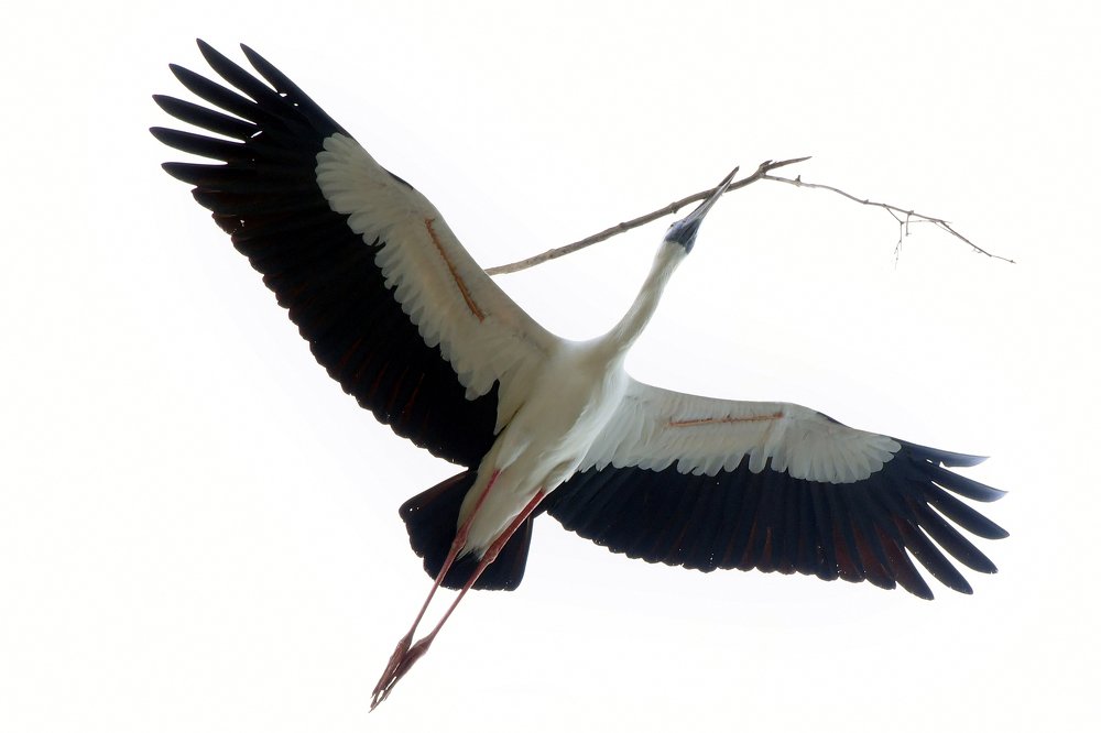 Photograph by ARUN KUMAR S.V.