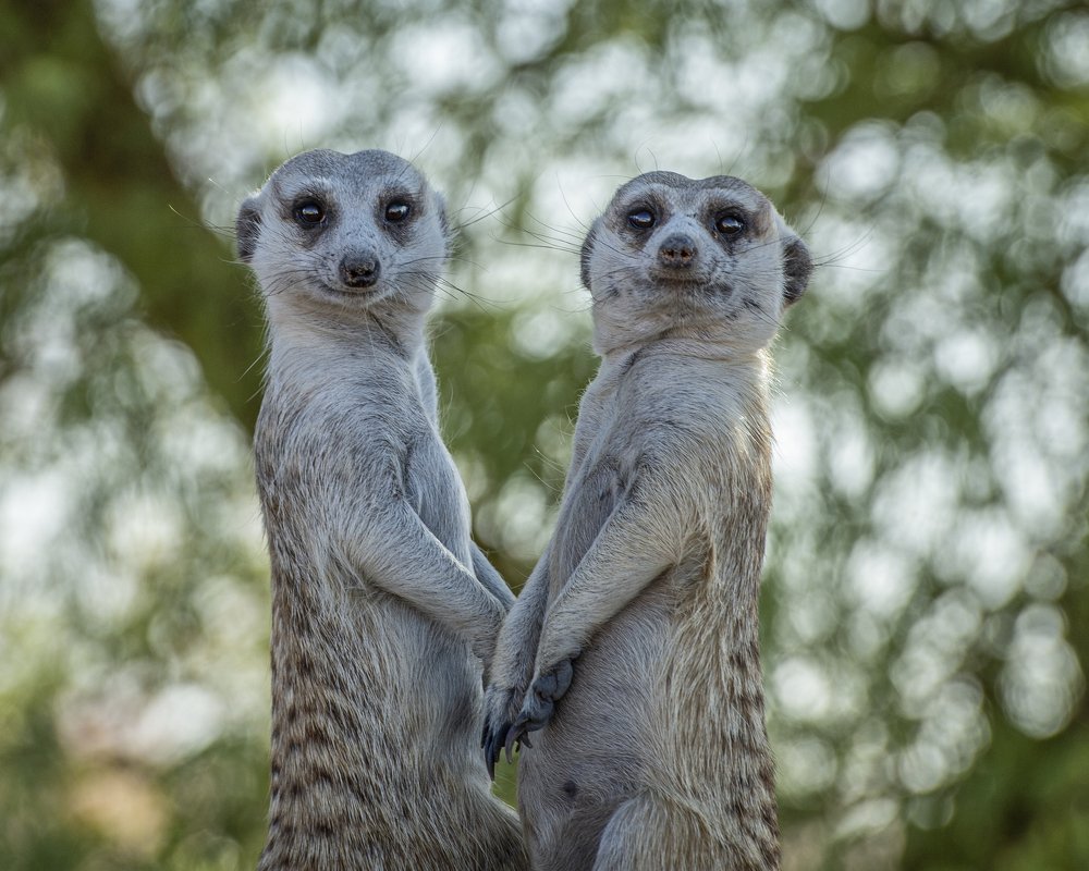 Photograph by talia duclos