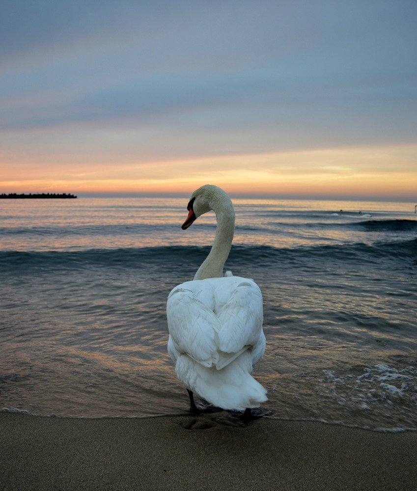 Photograph by Galya Fo-teva