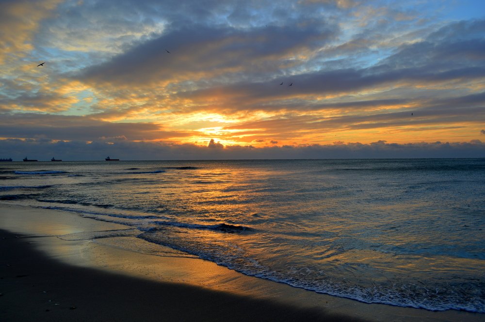 Photograph by Galya Fo-teva