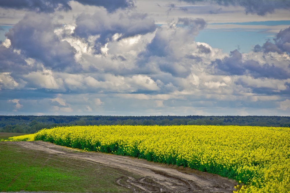 Photograph by Дмитрий Жижин