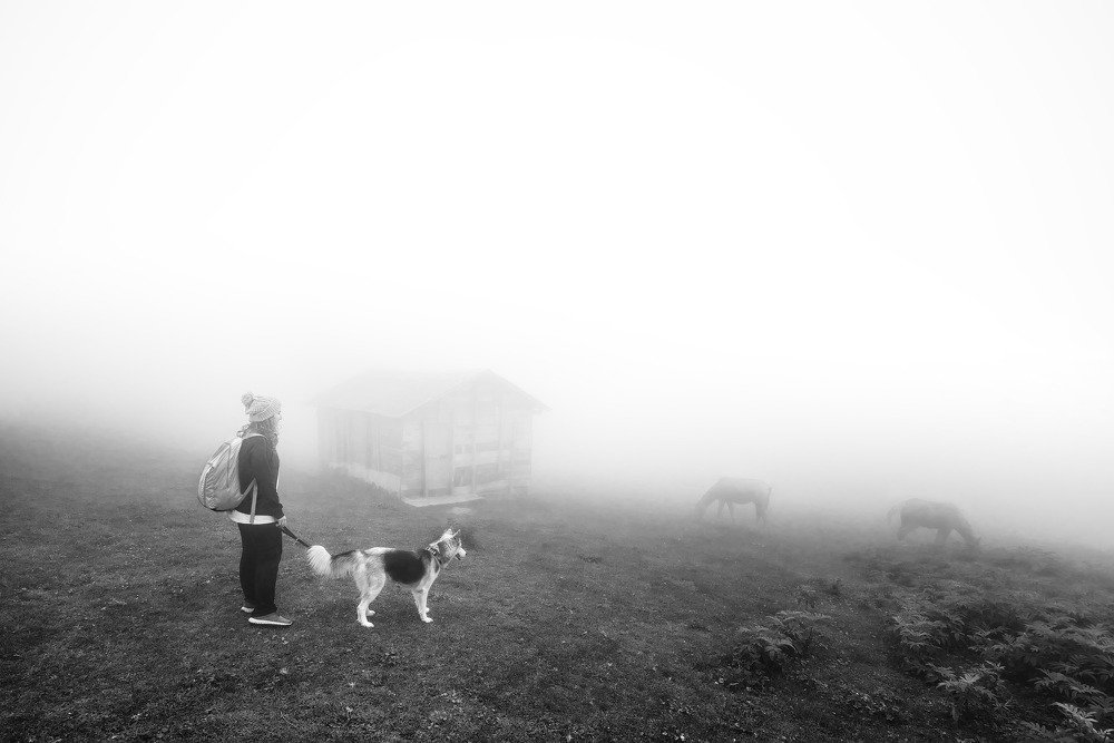 Photograph by rashtipour