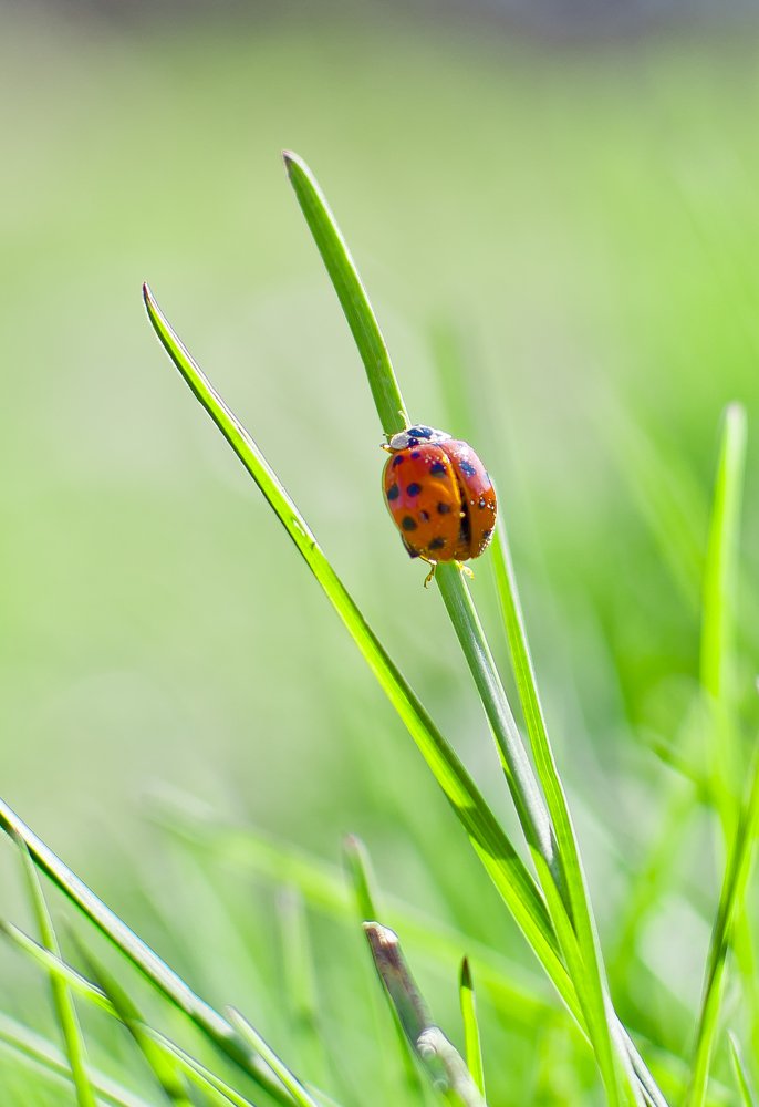 Photograph by Дмитрий Жижин