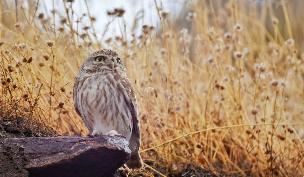 Photograph by faiaq ary