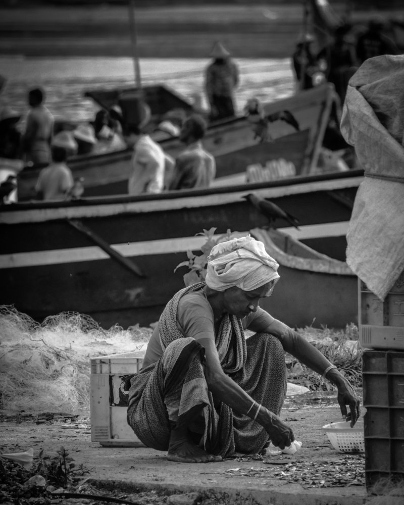 Photograph by ANIL AKSHAY