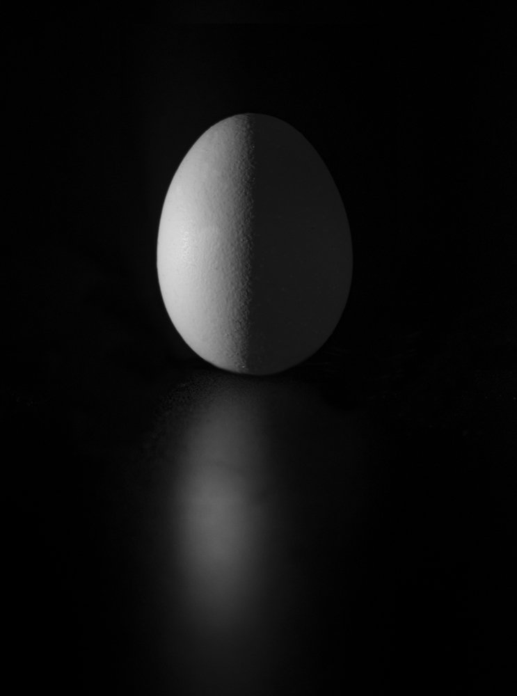 Photograph by Mohan Thevar M