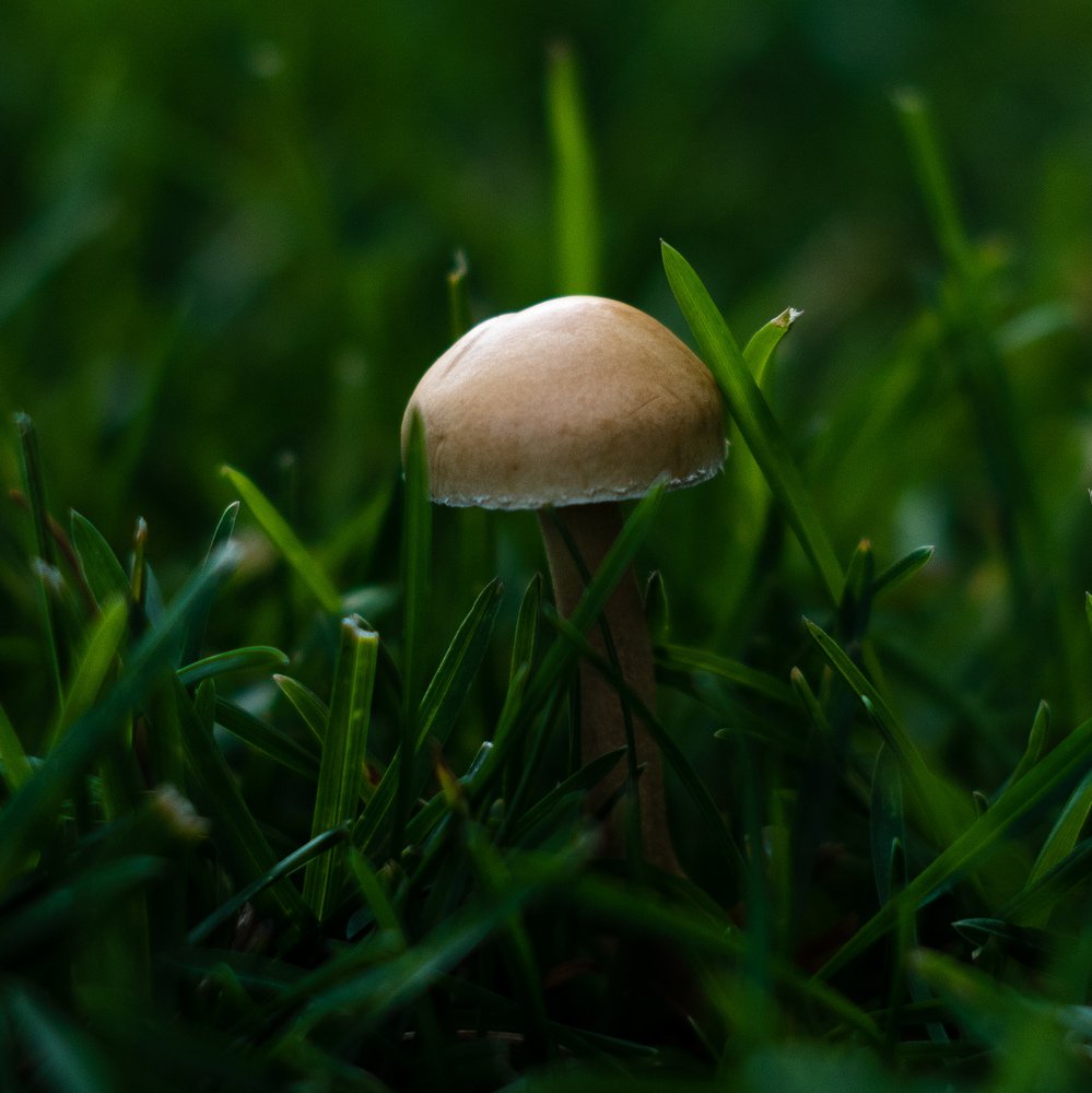 Photograph by Александр Шевченко