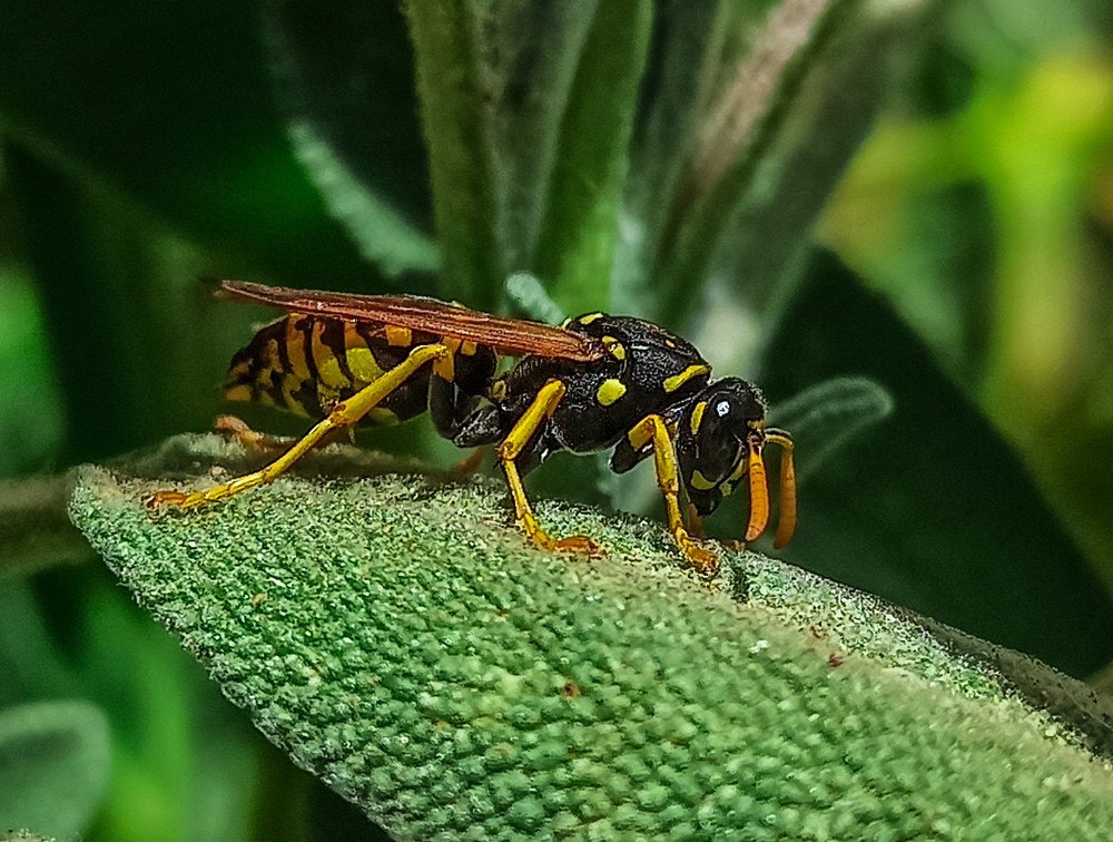 Photograph by Anass Aouissi