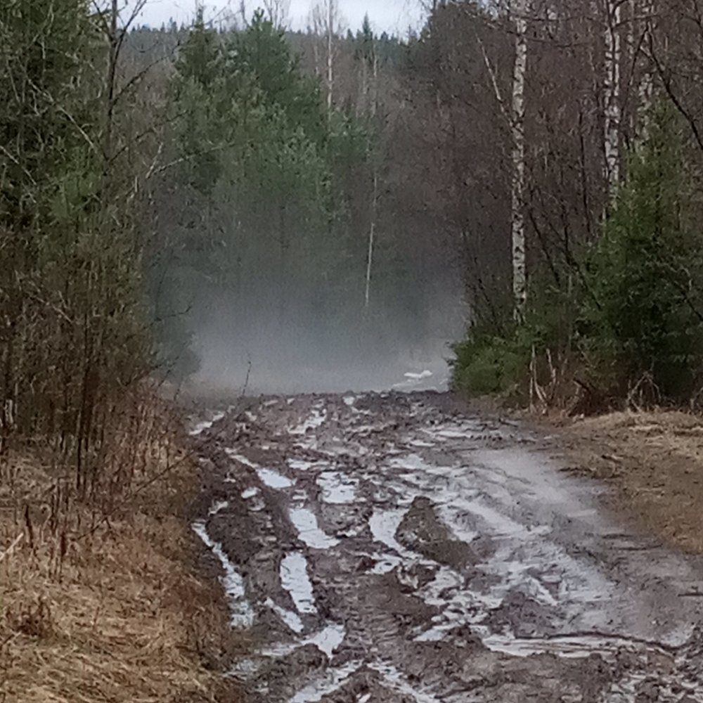 Дорога к Соловью Разбойнику...