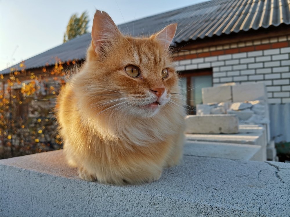 Photograph by Данил Батурин