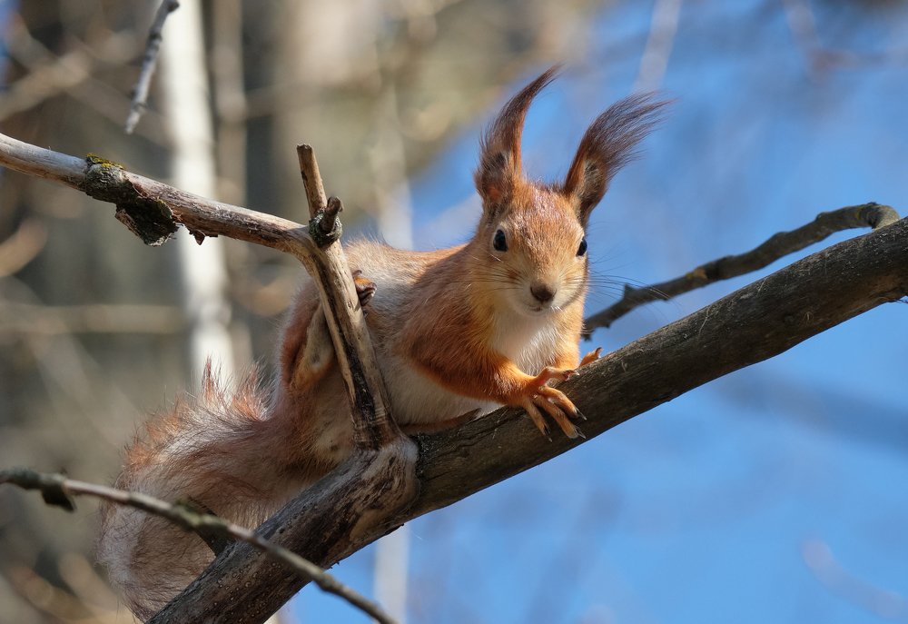 Photograph by Микола Мороз