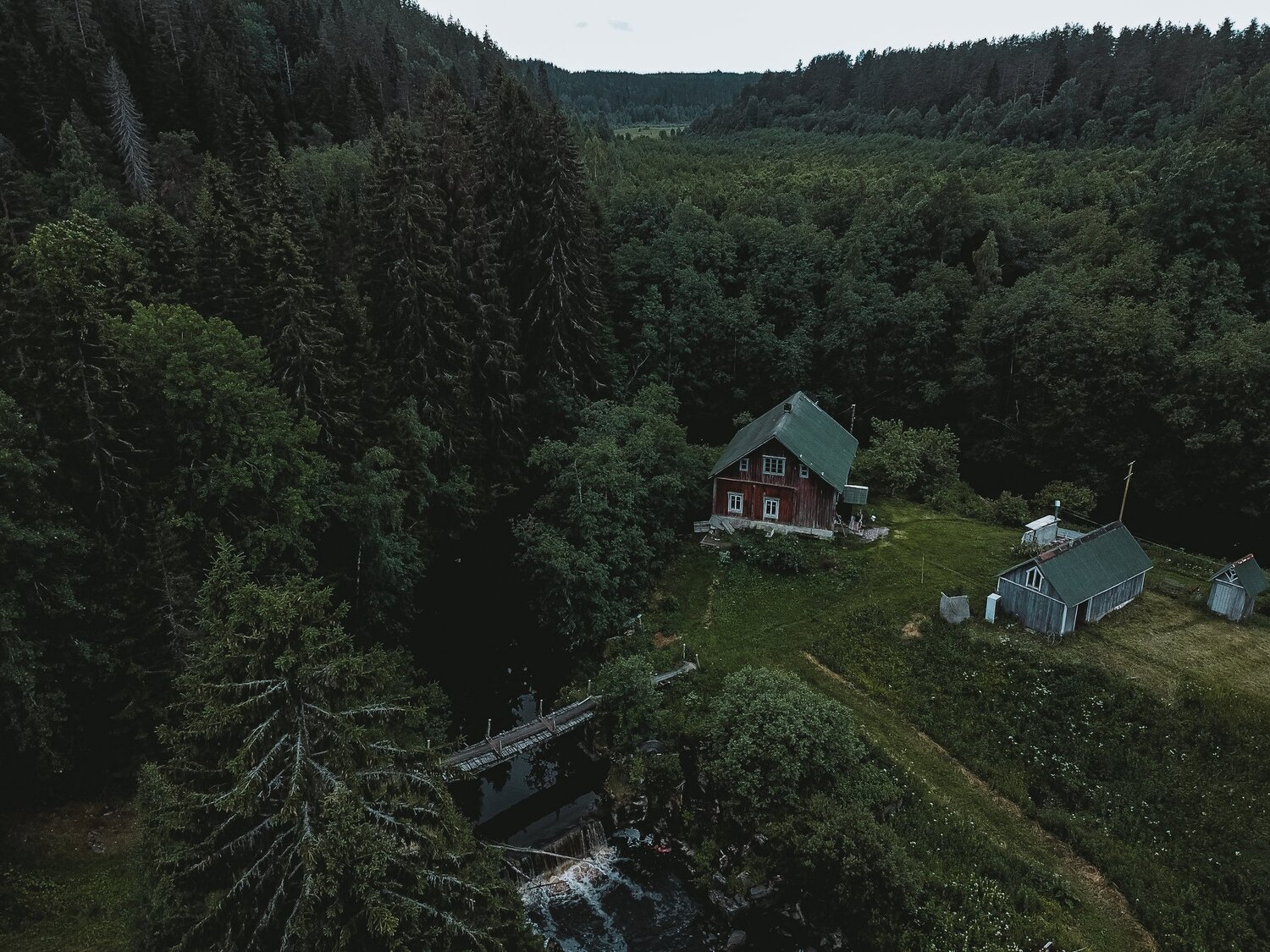 Photo #4718940