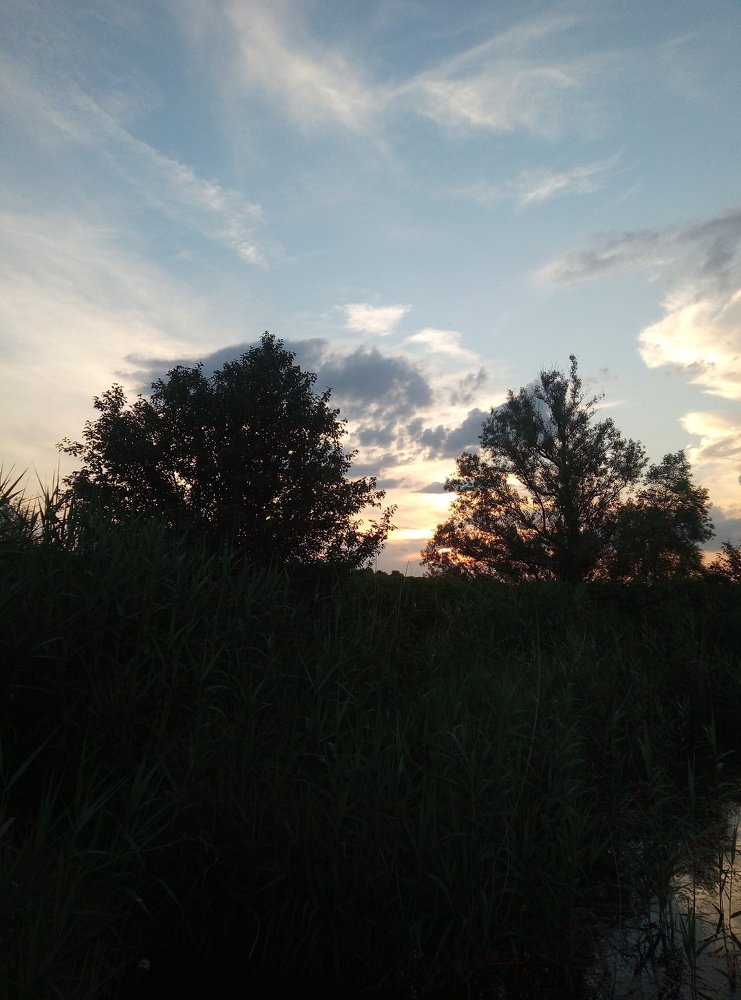 Photograph by Наталія Дронюк